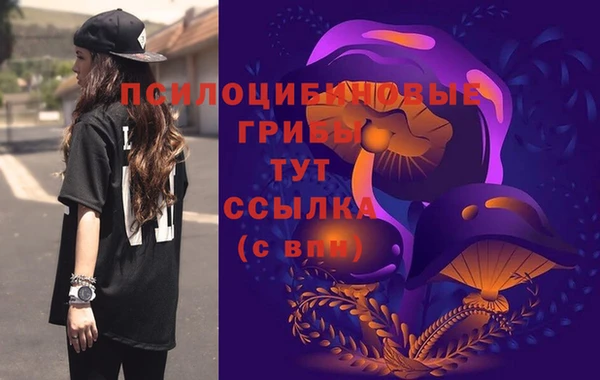 эйфоретик Вязники